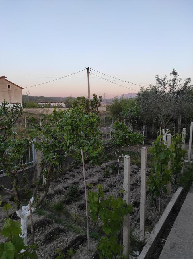Appartement Alanthia à Vlorë Extérieur photo